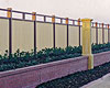 Galvanised iron and timber fence