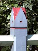 Edwardian post capital